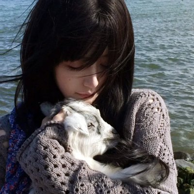 猫和老鼠喜剧秀