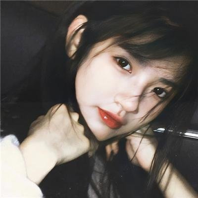 淑女鸟